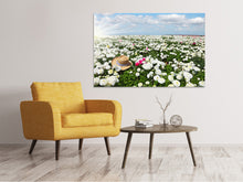 Load image into Gallery viewer, Canvas print Spring Flower Meadow
