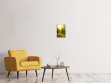 Load image into Gallery viewer, Canvas print Woodland Walk In The Autumn Sun
