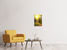 Load image into Gallery viewer, Canvas print Woodland Walk In The Autumn Sun
