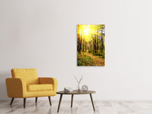 Load image into Gallery viewer, Canvas print Woodland Walk In The Autumn Sun
