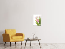 Load image into Gallery viewer, Canvas print The Tulips Trio
