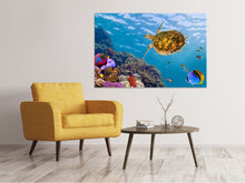 Load image into Gallery viewer, Canvas print The Turtle
