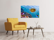 Load image into Gallery viewer, Canvas print The Turtle
