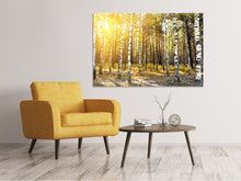 Load image into Gallery viewer, Canvas print Birch Forest
