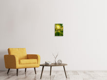 Load image into Gallery viewer, Canvas print Forest Path In Sunlight
