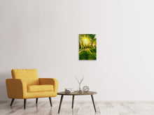 Load image into Gallery viewer, Canvas print Forest Path In Sunlight
