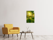 Load image into Gallery viewer, Canvas print Forest Path In Sunlight
