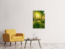 Load image into Gallery viewer, Canvas print Forest Path In Sunlight
