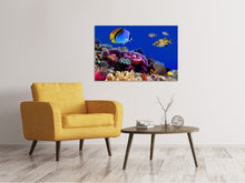 Load image into Gallery viewer, Canvas print World Of Fish

