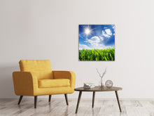 Load image into Gallery viewer, Canvas print Spring Grass
