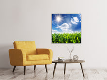 Load image into Gallery viewer, Canvas print Spring Grass
