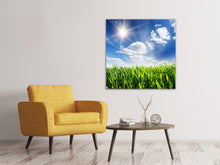 Load image into Gallery viewer, Canvas print Spring Grass
