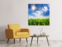 Load image into Gallery viewer, Canvas print Spring Grass
