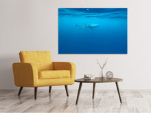 Load image into Gallery viewer, Canvas print The Whale Shark
