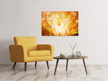 Load image into Gallery viewer, Canvas print Close Up Dandelion In Light

