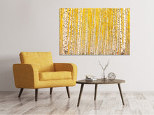 Load image into Gallery viewer, Canvas print The Birch Forest In Autumn
