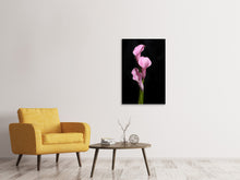 Load image into Gallery viewer, Canvas print 3 Purple Callas
