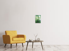 Load image into Gallery viewer, Canvas print The Old Tree
