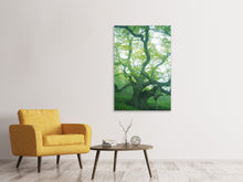 Load image into Gallery viewer, Canvas print The Old Tree
