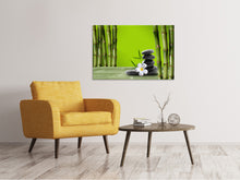 Load image into Gallery viewer, Canvas print Bamboo
