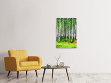 Load image into Gallery viewer, Canvas print The Birch Forest In Summer

