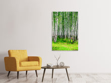 Load image into Gallery viewer, Canvas print The Birch Forest In Summer
