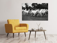 Load image into Gallery viewer, Canvas print The Mustang Herd
