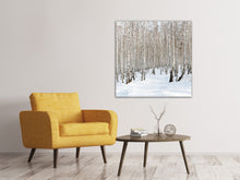 Load image into Gallery viewer, Canvas print Birch Forest Tracks In Snow

