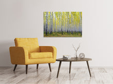 Load image into Gallery viewer, Canvas print Autumnal Birch Forest
