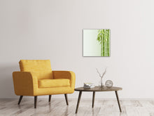 Load image into Gallery viewer, Canvas print Green Bamboo
