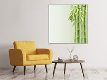Load image into Gallery viewer, Canvas print Green Bamboo
