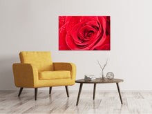 Load image into Gallery viewer, Canvas print Red Rose In Morning Dew
