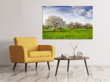 Load image into Gallery viewer, Canvas print Apple Tree Garden
