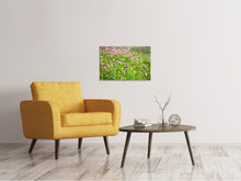 Load image into Gallery viewer, Canvas print Clover
