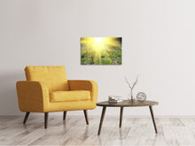 Load image into Gallery viewer, Canvas print Flowery Meadow
