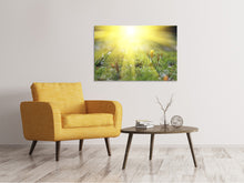 Load image into Gallery viewer, Canvas print Flowery Meadow
