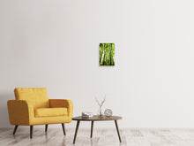 Load image into Gallery viewer, Canvas print Forest
