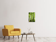 Load image into Gallery viewer, Canvas print Forest
