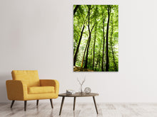 Load image into Gallery viewer, Canvas print Forest
