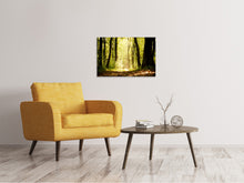 Load image into Gallery viewer, Canvas print Sunrise In The Forest

