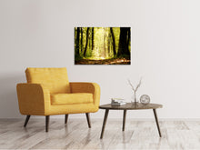 Load image into Gallery viewer, Canvas print Sunrise In The Forest
