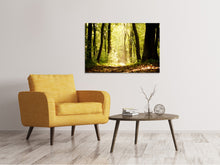 Load image into Gallery viewer, Canvas print Sunrise In The Forest
