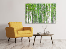 Load image into Gallery viewer, Canvas print The Birch Forest
