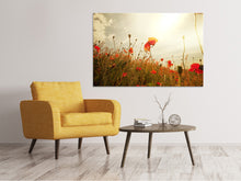 Load image into Gallery viewer, Canvas print The Poppy Field At Sunrise
