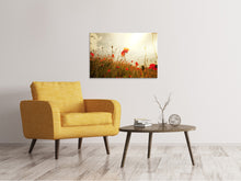 Load image into Gallery viewer, Canvas print The Poppy Field At Sunrise
