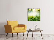 Load image into Gallery viewer, Canvas print Magic Forest
