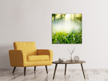 Load image into Gallery viewer, Canvas print Magic Forest
