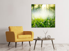 Load image into Gallery viewer, Canvas print Magic Forest
