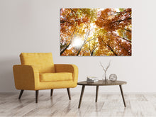 Load image into Gallery viewer, Canvas print Enlightened Autumn Trees
