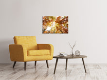 Load image into Gallery viewer, Canvas print Enlightened Autumn Trees

